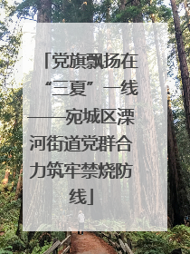 党旗飘扬在“三夏”一线——宛城区溧河街道党群合力筑牢禁烧防线