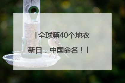 全球第40个地衣新目，中国命名！