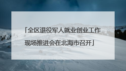 全区退役军人就业创业工作现场推进会在北海市召开