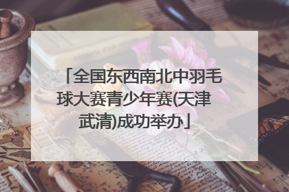 全国东西南北中羽毛球大赛青少年赛(天津武清)成功举办