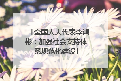 全国人大代表李鸿彬：加强社会支持体系规范化建设