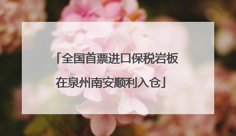 全国首票进口保税岩板在泉州南安顺利入仓