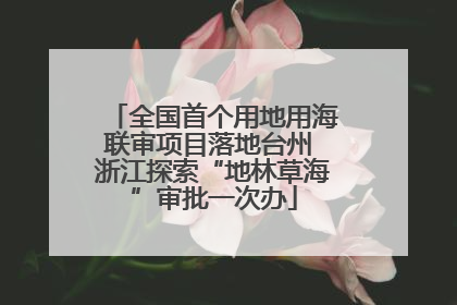 全国首个用地用海联审项目落地台州 浙江探索“地林草海”审批一次办