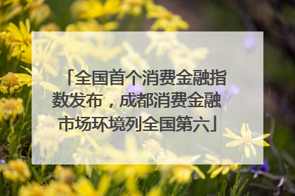 全国首个消费金融指数发布，成都消费金融市场环境列全国第六