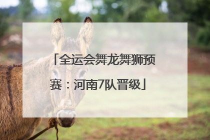 全运会舞龙舞狮预赛：河南7队晋级