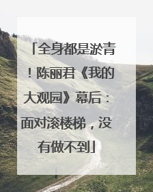 全身都是淤青！陈丽君《我的大观园》幕后：面对滚楼梯，没有做不到