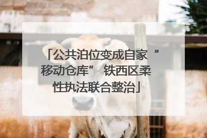 公共泊位变成自家“移动仓库” 铁西区柔性执法联合整治