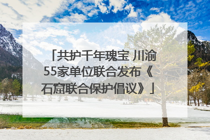 共护千年瑰宝 川渝55家单位联合发布《石窟联合保护倡议》