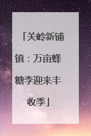 关岭新铺镇：万亩蜂糖李迎来丰收季