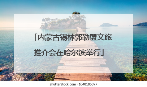 内蒙古锡林郭勒盟文旅推介会在哈尔滨举行