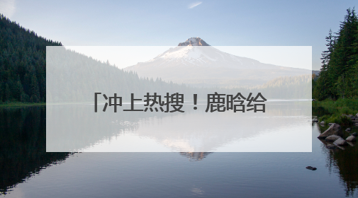 冲上热搜！鹿晗给伴舞送Labubu，网友：“不知道该羡慕他收到了Labubu，还是该羡慕鹿晗送他礼物”