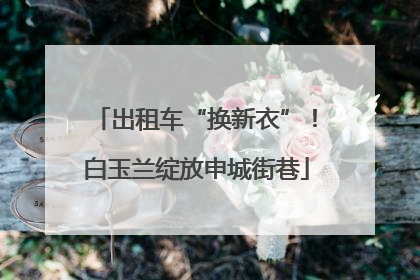 出租车“换新衣”！白玉兰绽放申城街巷