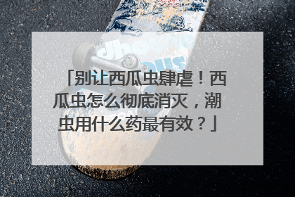 别让西瓜虫肆虐！西瓜虫怎么彻底消灭，潮虫用什么药最有效？