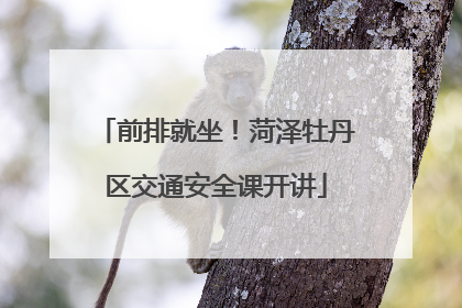 前排就坐！菏泽牡丹区交通安全课开讲