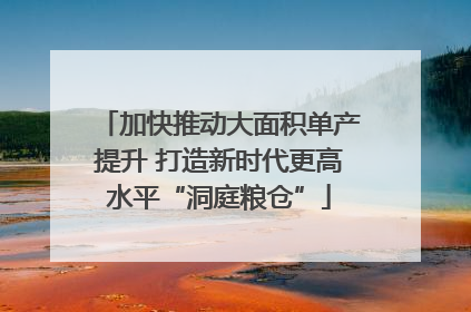 加快推动大面积单产提升 打造新时代更高水平“洞庭粮仓”