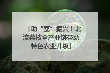 助“荔”振兴！北流荔枝全产业链带动特色农业升级