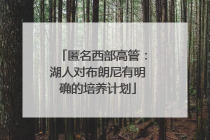 匿名西部高管：湖人对布朗尼有明确的培养计划