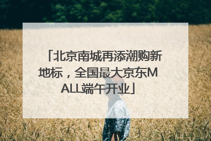 北京南城再添潮购新地标，全国最大京东MALL端午开业