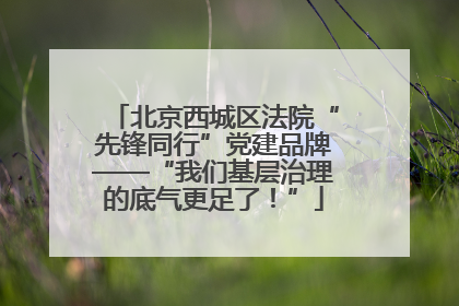 北京西城区法院“先锋同行”党建品牌——“我们基层治理的底气更足了！”
