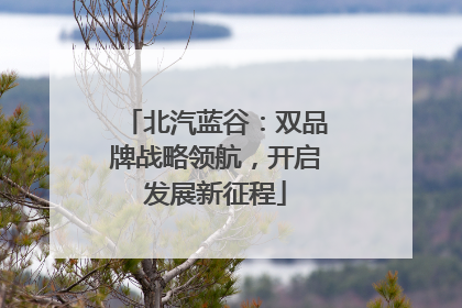 北汽蓝谷：双品牌战略领航，开启发展新征程