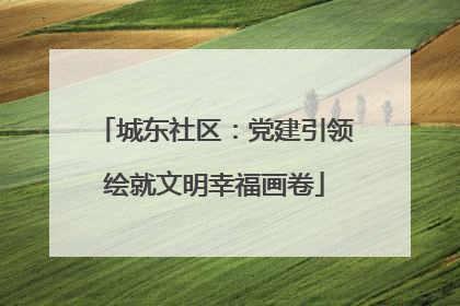 城东社区：党建引领绘就文明幸福画卷