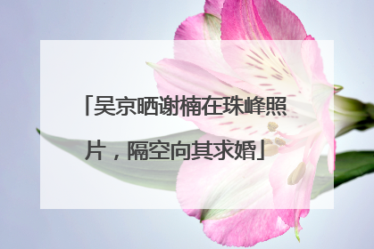 吴京晒谢楠在珠峰照片，隔空向其求婚