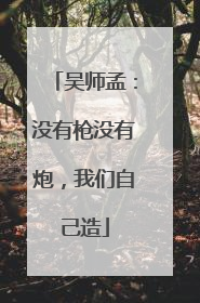 吴师孟：没有枪没有炮，我们自己造