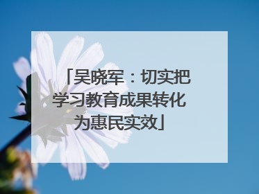 吴晓军：切实把学习教育成果转化为惠民实效