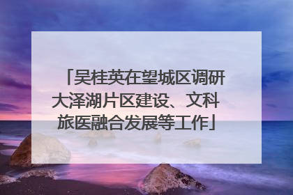 吴桂英在望城区调研大泽湖片区建设、文科旅医融合发展等工作