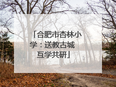 合肥市杏林小学：送教古城 互学共研