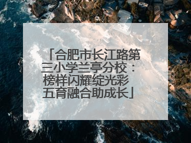 合肥市长江路第三小学兰亭分校：榜样闪耀绽光彩 五育融合助成长