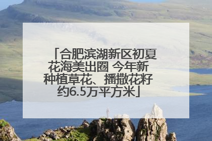 合肥滨湖新区初夏花海美出圈 今年新种植草花、播撒花籽约6.5万平方米