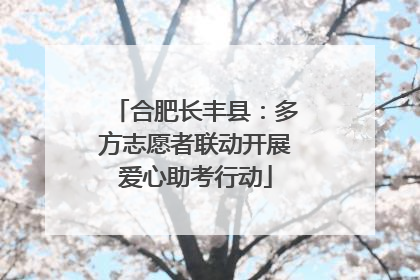 合肥长丰县：多方志愿者联动开展爱心助考行动
