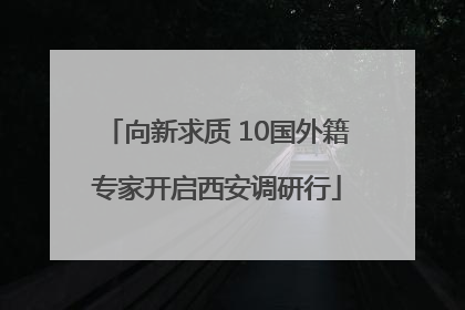 向新求质 10国外籍专家开启西安调研行