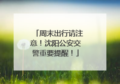 周末出行请注意！沈阳公安交警重要提醒！
