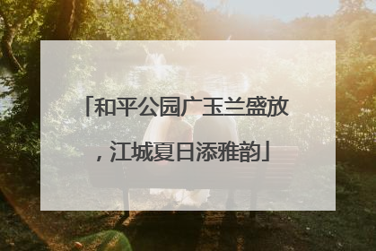 和平公园广玉兰盛放，江城夏日添雅韵