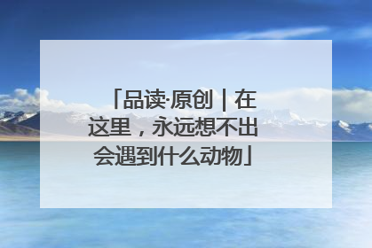 品读·原创｜在这里，永远想不出会遇到什么动物