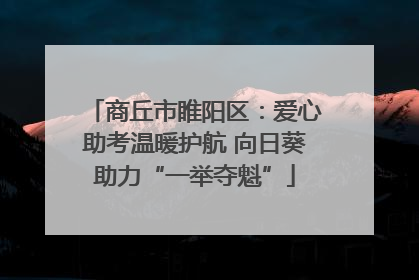 商丘市睢阳区：爱心助考温暖护航 向日葵助力“一举夺魁”