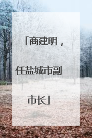商建明，任盐城市副市长