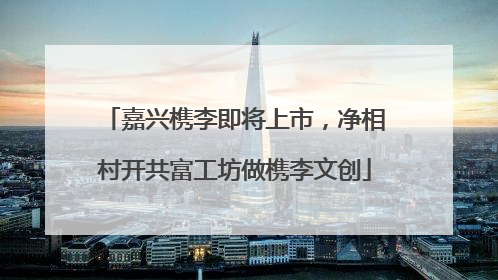 嘉兴槜李即将上市，净相村开共富工坊做槜李文创