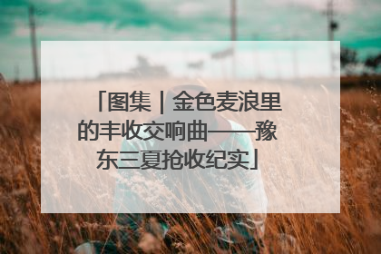 图集｜金色麦浪里的丰收交响曲——豫东三夏抢收纪实