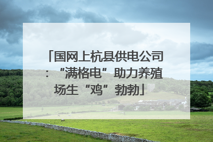 国网上杭县供电公司：“满格电”助力养殖场生“鸡”勃勃