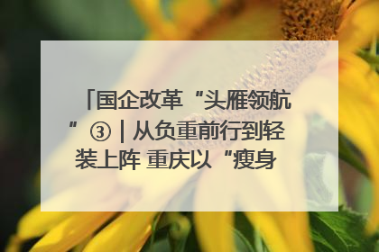 国企改革“头雁领航”③｜从负重前行到轻装上阵 重庆以“瘦身”谋“健体”