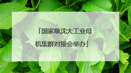 国家级沈大工业母机集群对接会举办