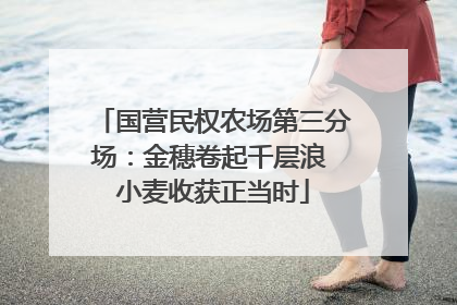 国营民权农场第三分场：金穗卷起千层浪 小麦收获正当时