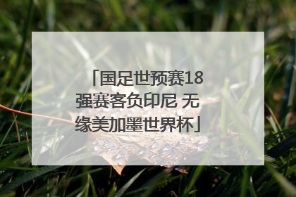 国足世预赛18强赛客负印尼 无缘美加墨世界杯