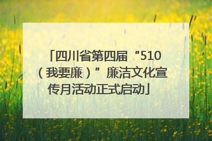 四川省第四届“510（我要廉）”廉洁文化宣传月活动正式启动