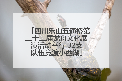 四川乐山五通桥第二十二届龙舟文化展演活动举行 32支队伍竞渡小西湖