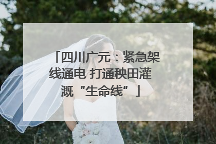 四川广元：紧急架线通电 打通秧田灌溉“生命线”