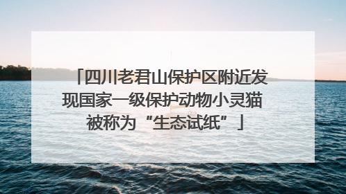 四川老君山保护区附近发现国家一级保护动物小灵猫 被称为“生态试纸”